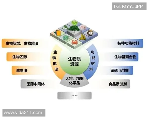 上海排球队防守革新之路探索与实践的深度剖析与展望