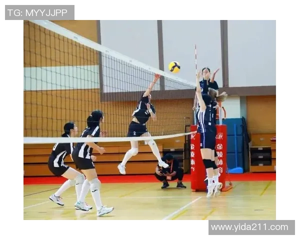 上海排球队在排球配合排行榜中荣获第五名展现强劲实力与团队默契