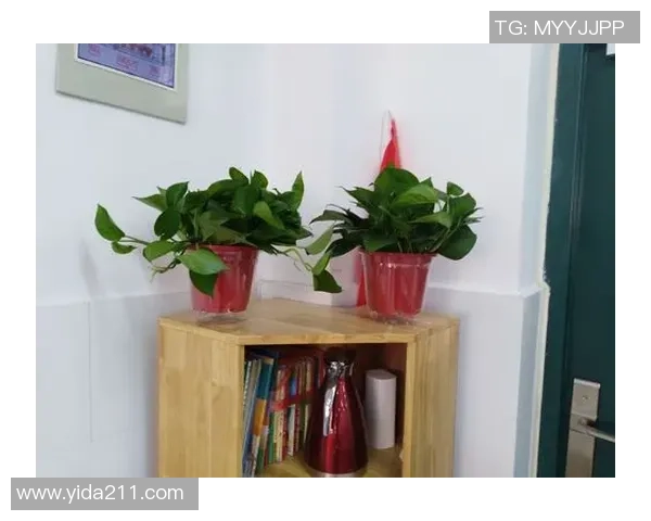 与赵丽畅谈英雄联盟职业生涯的点滴与挑战