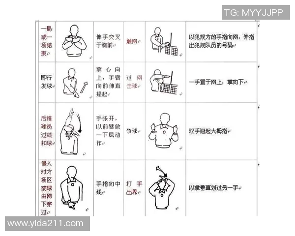 从零起步掌握排球节奏技巧全解析助你轻松成为排球高手