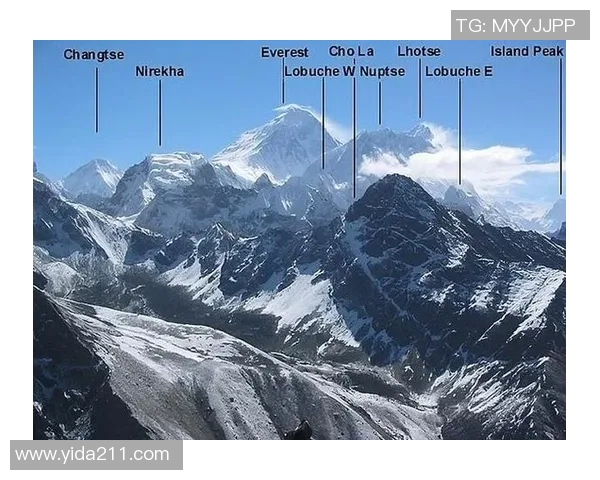 赛后分析：北京网球队与上海网球队的战术对决全景解析